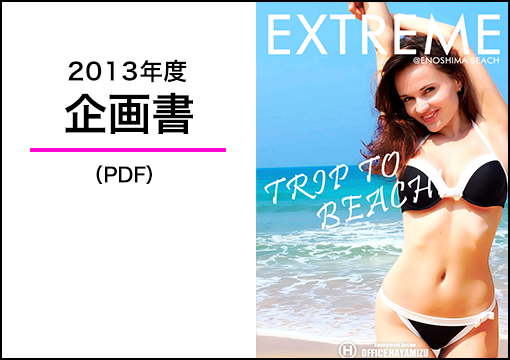 2013年度 企画書（PDF）
