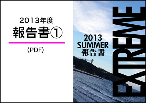 2013年度 報告書1（PDF）